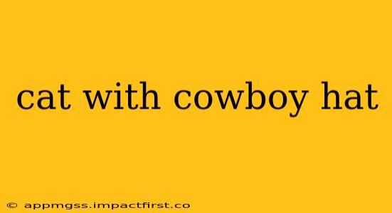 cat with cowboy hat