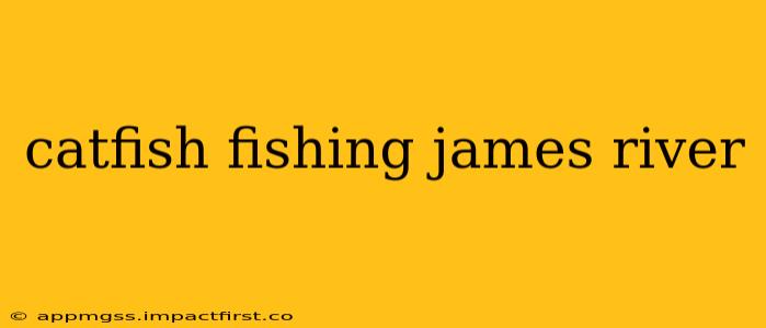 catfish fishing james river