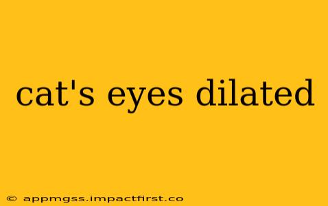 cat's eyes dilated