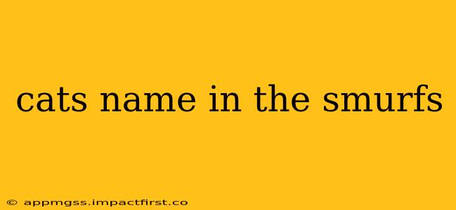 cats name in the smurfs
