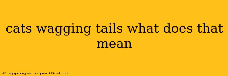 cats wagging tails what does that mean