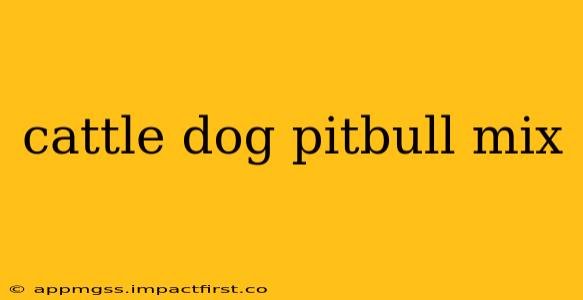 cattle dog pitbull mix
