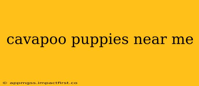 cavapoo puppies near me