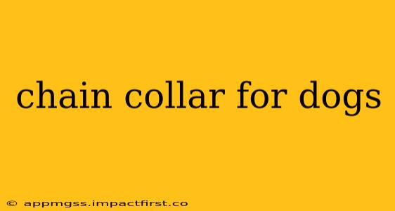 chain collar for dogs