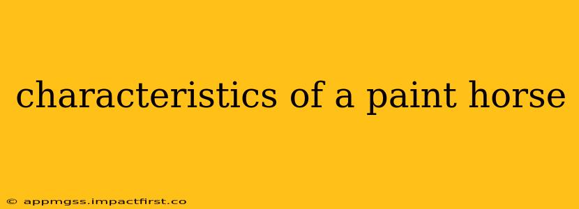 characteristics of a paint horse