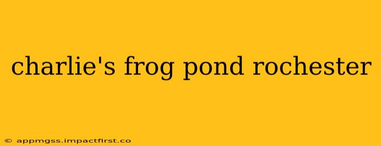 charlie's frog pond rochester