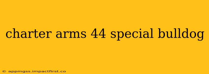 charter arms 44 special bulldog