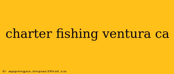charter fishing ventura ca