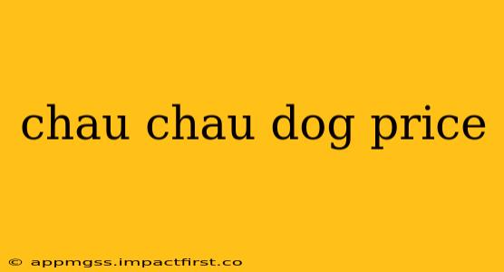 chau chau dog price
