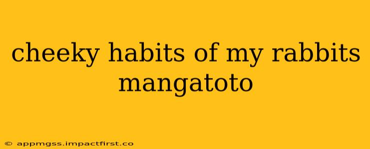 cheeky habits of my rabbits mangatoto
