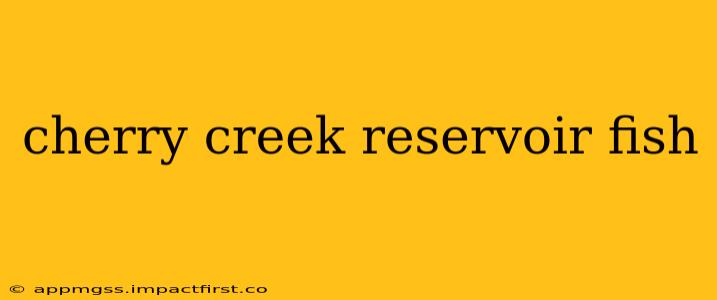 cherry creek reservoir fish