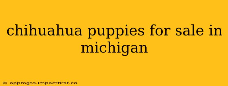 chihuahua puppies for sale in michigan