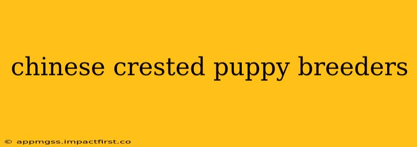 chinese crested puppy breeders