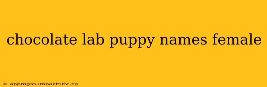 chocolate lab puppy names female