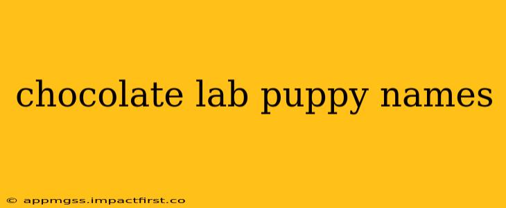 chocolate lab puppy names