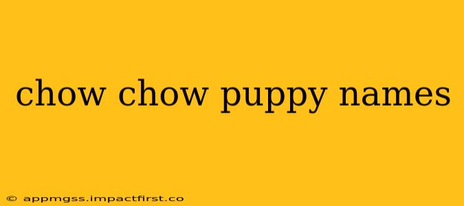 chow chow puppy names
