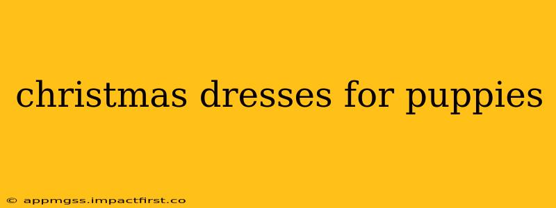 christmas dresses for puppies