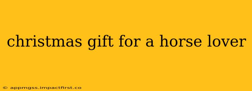 christmas gift for a horse lover