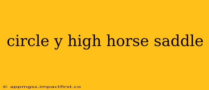 circle y high horse saddle
