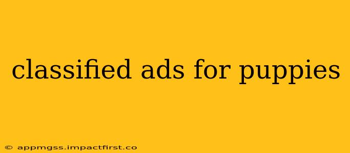 classified ads for puppies