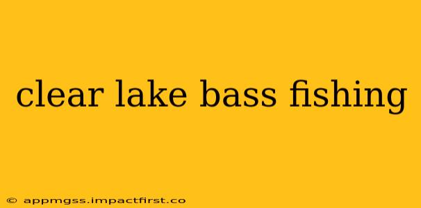 clear lake bass fishing