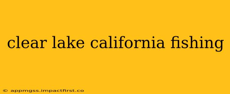 clear lake california fishing