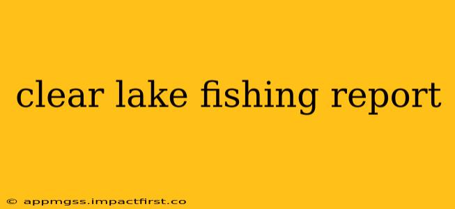 clear lake fishing report