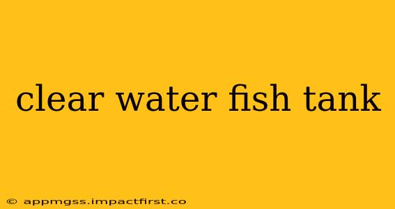 clear water fish tank