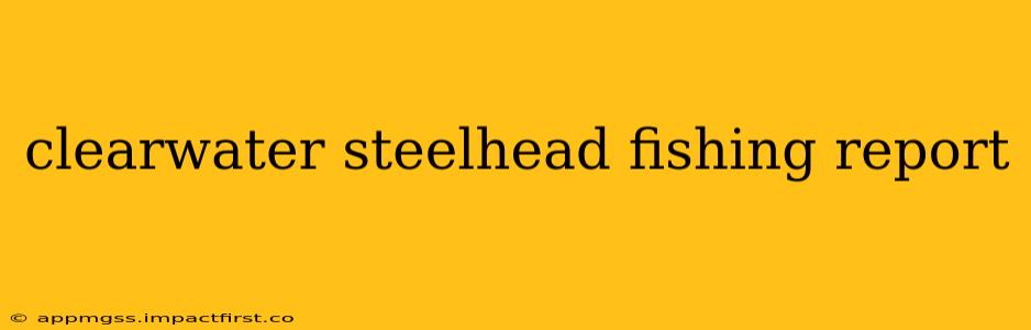 clearwater steelhead fishing report