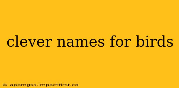 clever names for birds