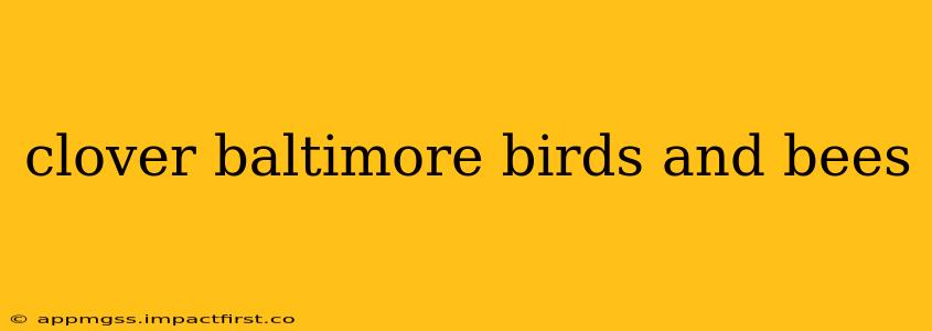 clover baltimore birds and bees