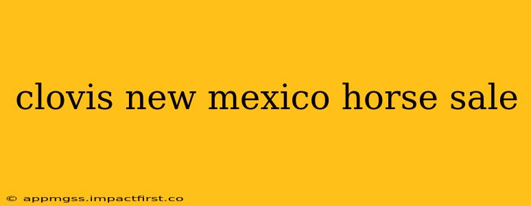 clovis new mexico horse sale