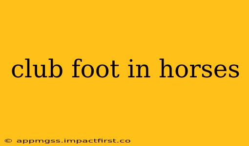 club foot in horses