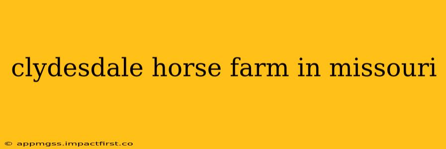 clydesdale horse farm in missouri