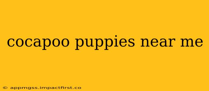 cocapoo puppies near me