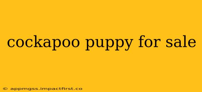 cockapoo puppy for sale
