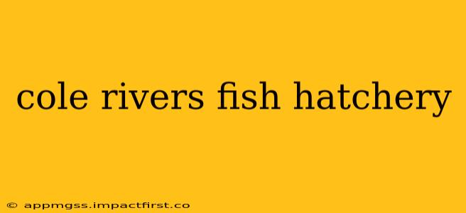 cole rivers fish hatchery