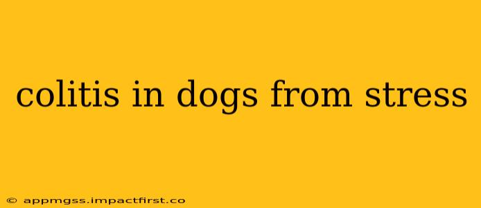 colitis in dogs from stress