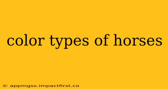 color types of horses
