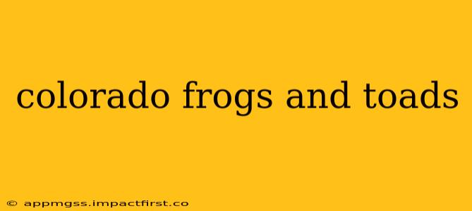 colorado frogs and toads