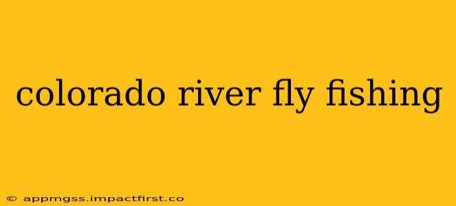 colorado river fly fishing