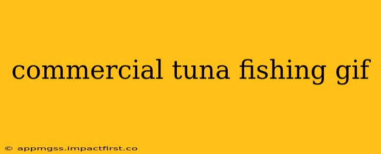 commercial tuna fishing gif
