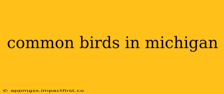 common birds in michigan