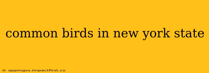 common birds in new york state