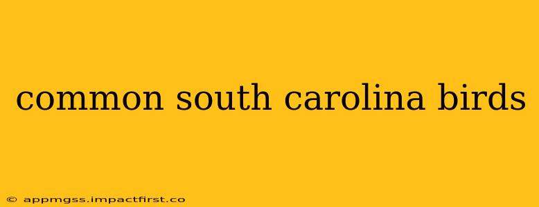 common south carolina birds