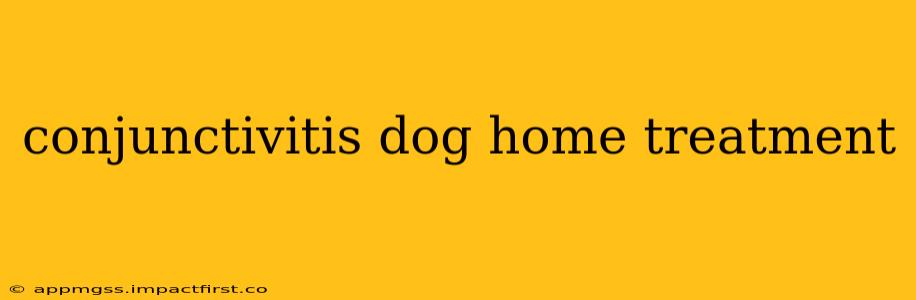 conjunctivitis dog home treatment