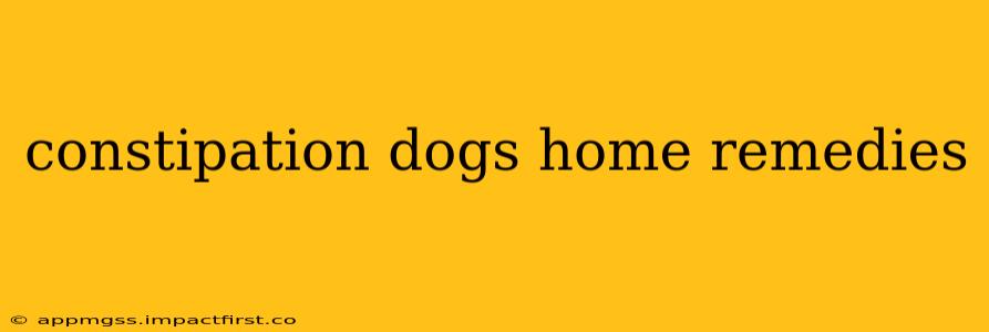constipation dogs home remedies