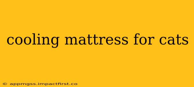 cooling mattress for cats