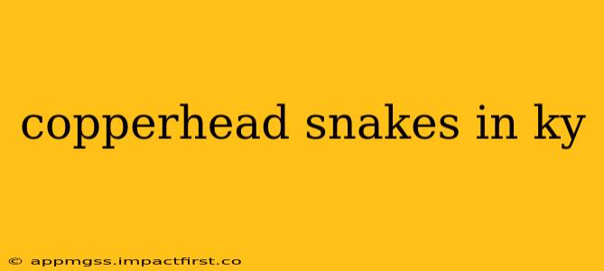 copperhead snakes in ky
