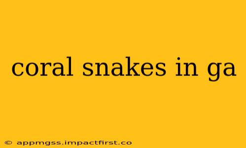 coral snakes in ga